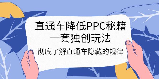 直通车降低PPC秘籍，一套独创玩法：彻底了解直通车隐藏的规律