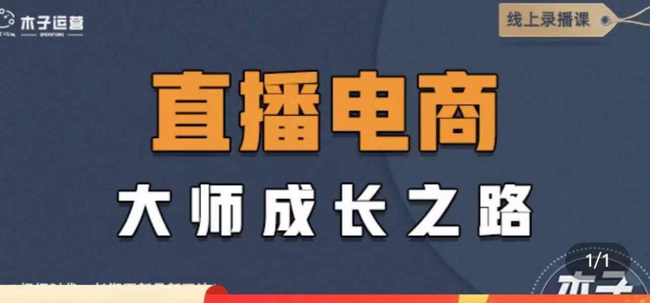 直播电商高手成长之路：教你成为直播电商大师，玩转四大板块（25节）