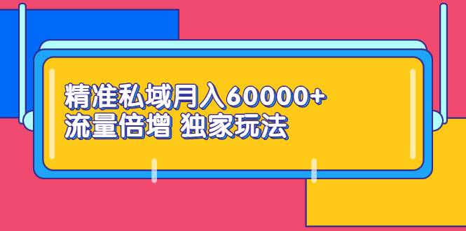 精准私域月入60000+ 流量倍增 独家玩法（9节视频课）