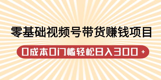 零基础视频号带货赚钱项目，0成本0门槛轻松日入300+【视频教程】