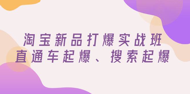 淘宝新品打爆实战班，直通车起爆、搜索起爆（价值599元）