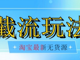 首发价值2980最新淘宝无货源不开车自然流超低成本截流玩法日入300+【揭秘】【1016更新】