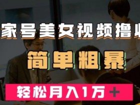 百家号美女视频撸收益，几分钟一条视频，轻松月入万元【揭秘】