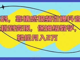 流量密码，靠情感视频引爆抖音短视频，涨粉到变现，保姆级教学，小白轻松月入2万【揭秘】