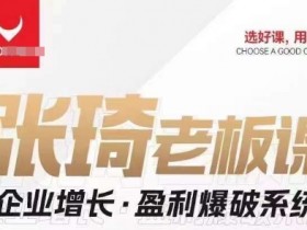【组合课】张琦张琦老板企业增长·盈利爆破系统（直播专享）