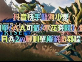 抖音快手蓝海小众（操作简单人人可做不花时间）多种变现月入2w＋暴利单机游戏教程