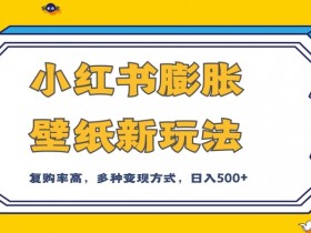 小红书膨胀壁纸新玩法，前端引流前端变现，后端私域多种组合变现方式，入500+【揭秘】