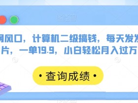 全网风口，计算机二级搞钱，每天发发图片，一单19.9，小白轻松月入过万【揭秘】