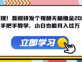 暴力变现！靠搬砖发个视频无脑撸金2000+！手把手教学，小白也能月入过万【揭秘】