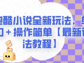 地铁跑酷小说全新玩法，单日收入2000＋操作简单【最新详细玩法教程】【揭秘】