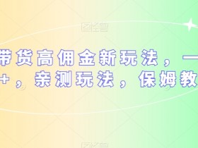 多多带货高佣金新玩法，一天300+，亲测玩法，保姆教学