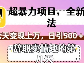 超暴利项目，全新玩法（辞职卖情趣的第几天），七天变现上万，日引500+粉【揭秘】