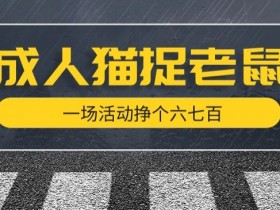 最近很火的成人版猫捉老鼠，一场活动挣个六七百太简单了【揭秘】