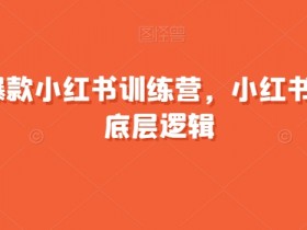 21天爆款小红书训练营，小红书爆款的底层逻辑