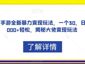 抖音手游全新暴力变现玩法，一个30，日入2000+轻松，揭秘大佬变现玩法【揭秘】