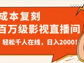 价值9800！0成本复刻抖音百万级影视直播间！轻松千人在线日入2000【揭秘】