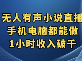 抖音无人有声小说直播，手机电脑都能做，1小时收入破千【揭秘】