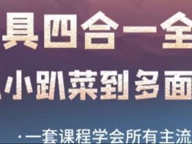 AI工具全能课，一套课程学会所有主流AI工具，从AI领域的小趴菜蜕变成AI技能多面手