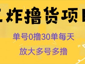 王炸撸货项目，单号0撸30单每天，多号多撸【揭秘】