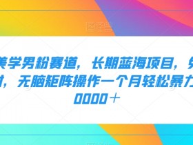 二手美学男粉赛道，长期蓝海项目，无脑矩阵操作一个月轻松暴力变现20000＋