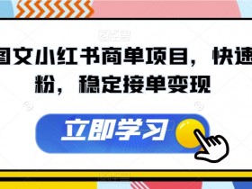 AI图文小红书商单项目，快速涨粉，稳定接单变现【揭秘】