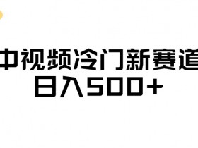 中视频冷门新赛道，做的人少，三天之内必起号，日入500+【揭秘】