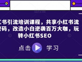 小红书引流培训课程，共享小红书流量密码，改造小白逆袭百万大咖，玩转小红书SEO