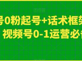 视频号0粉起号+话术框架线上课，视频号0-1运营必备课