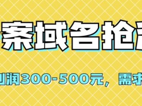 【全网首发】备案域名抢注，一单利润300-500元，需求量大