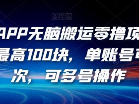有驾APP无脑搬运零撸项目，一单最高100块，单账号可撸3次，可多号操作【揭秘】