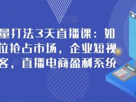 新商业流量打法3天直播课：如何升级定位抢占市场，企业短视频精准获客，直播电商盈利系统