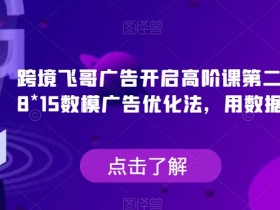 跨境飞哥广告开启高阶课第二十四期，​8*15数模广告优化法，用数据驱动决策