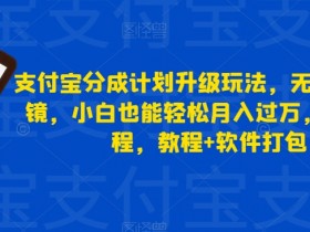 支付宝分成计划升级玩法，无需真人出镜，小白也能轻松月入过万，保姆教程，教程+软件打包