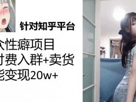 一个月入袋3w，知乎小众性癖项目，Lsp的钱才是最好赚的【揭秘】