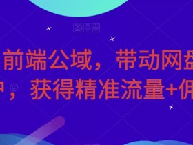 利用前端公域，带动网盘新用户，获得精准流量+佣金（揭秘）