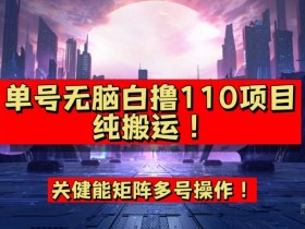 9月全网首发，单号直接白撸110！可多号操作，无脑搬运复制粘贴【揭秘】