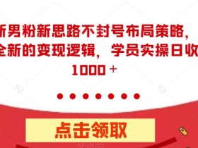 全新男粉新思路不封号布局策略，以及全新的变现逻辑，实操日收入1000＋【揭秘】