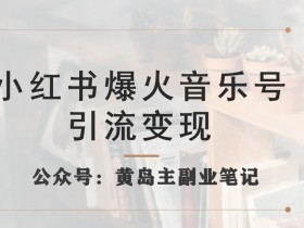 小红书爆火音乐号引流变现项目，视频版一条龙实操玩法分享给你
