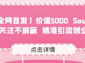 【全网首发】价值5000 Soul无限关注不屏蔽​精准引流创业粉
