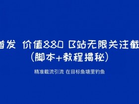 K首发价值880 B站无限关注截流精准引流（脚本+教程揭秘）