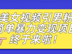 价值3980的男粉暴力引流变现项目，一部手机简单操作，新手小白轻松上手，每日收益500+【揭秘】