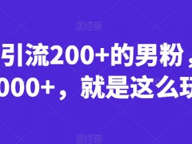 一天引流200+的男粉，日赚1000+，就是这么玩的【揭秘】
