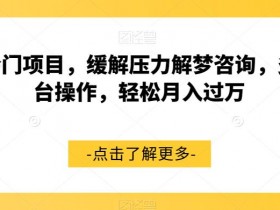 超冷门项目，缓解压力解梦咨询，多平台操作，轻松月入过万【揭秘】