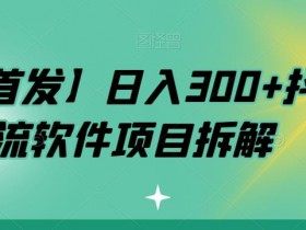 【全网首发】日入300+抖音引流软件项目拆解【揭秘】