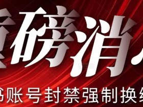 【最新】小红书账号封禁强制换绑技术可日赚300