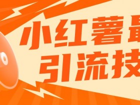 小红书最新引流技术，真正实现解放双手暴力引流
