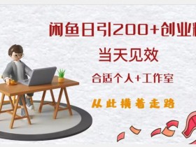 闲鱼精准引流创业粉，日引200+，当天见效，从此横着走