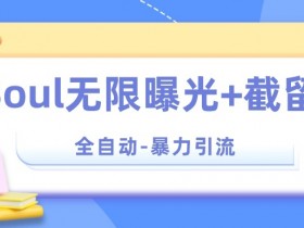 【暴力引流】Soul无限曝光+截留一体的软件【揭秘】