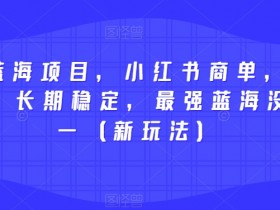 2023蓝海项目，小红书商单，快速千粉，长期稳定，最强蓝海没有之一（新玩法）
