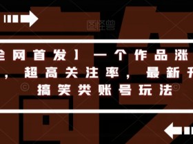 【全网首发】一个作品涨了200粉，超高关注率，最新升级版搞笑类账号玩法
